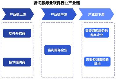 中國(guó)咨詢(xún)服務(wù)業(yè)軟件 賦能企業(yè)數(shù)字化轉(zhuǎn)型的定制化解決方案